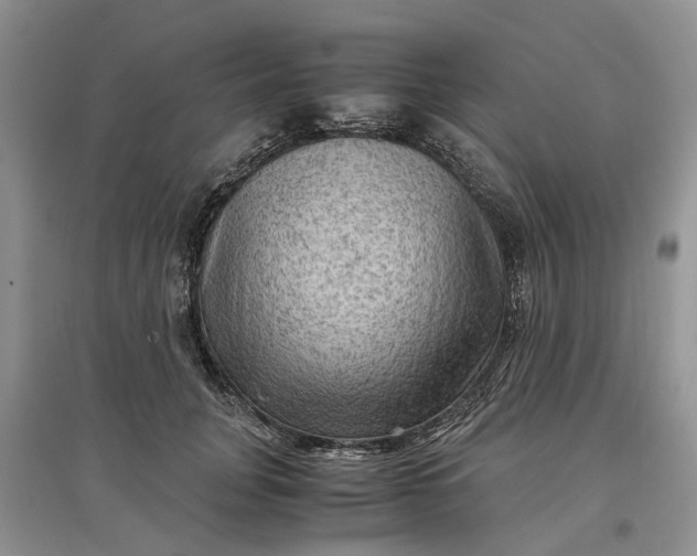 X0000097660751200803142132