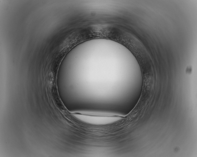 X0000097660752200803142132