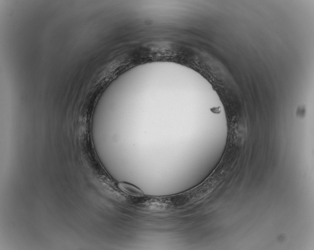 X0000097660756200803142132