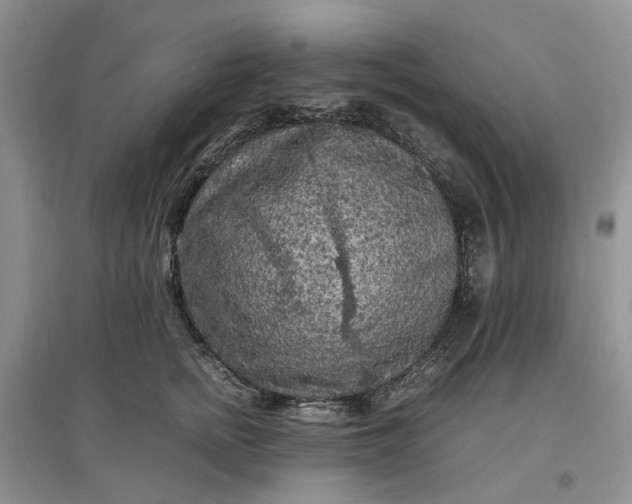 X0000097660758200803142132