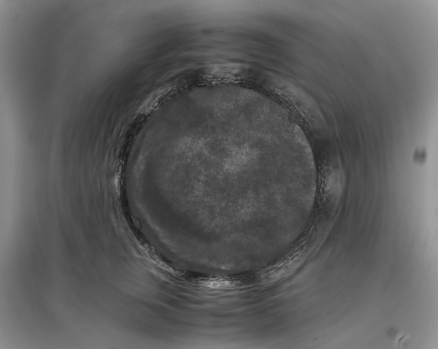 X0000097660759200803142132