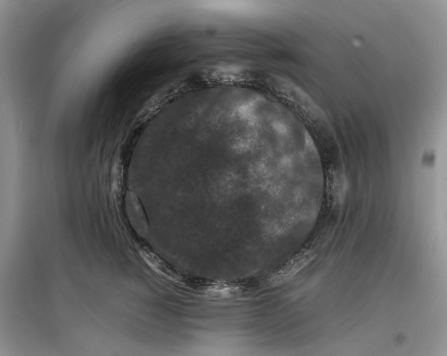 X0000097660760200803142132