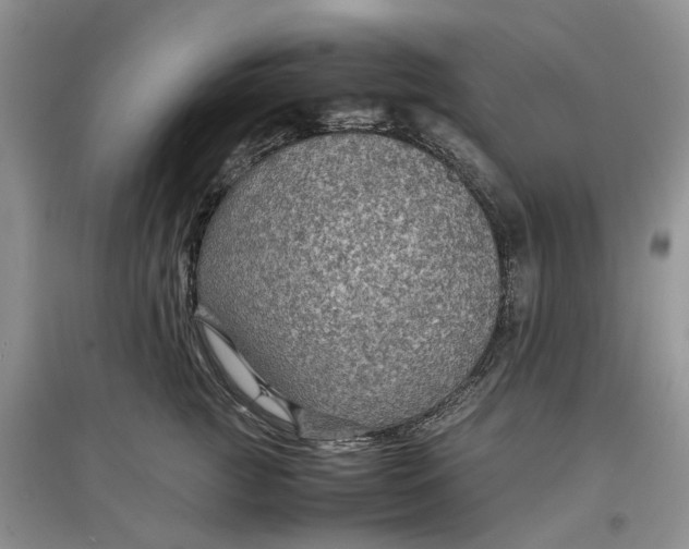 X0000097660761200803142132