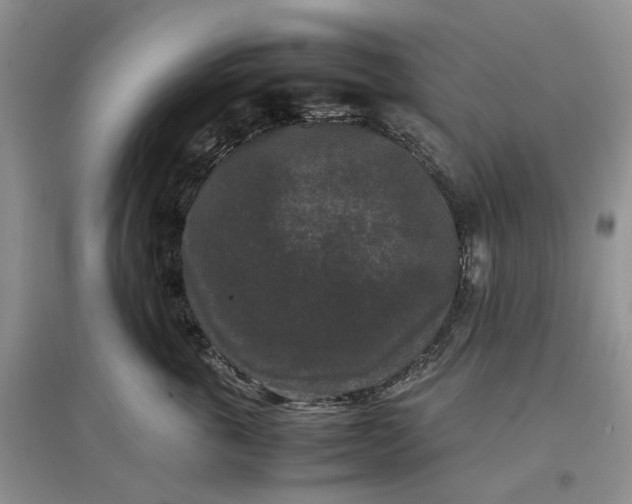 X0000097660763200803142132