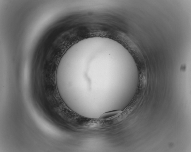 X0000097660764200803142132