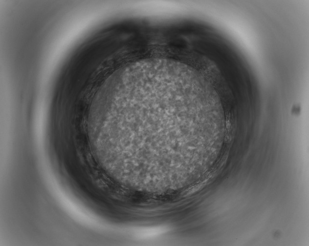 X0000097660765200803142132
