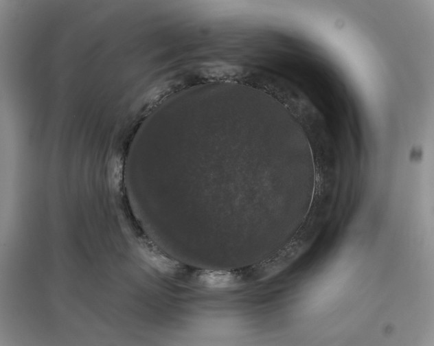 X0000097660767200803142132