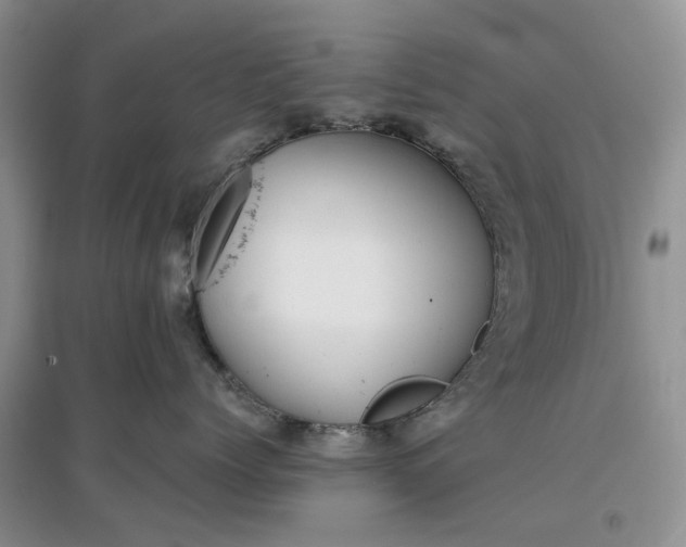 X0000097660768200803142132