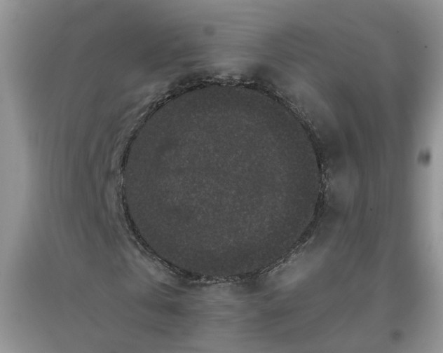 X0000097660769200803142131