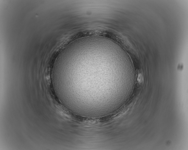 X0000097660771200803142131