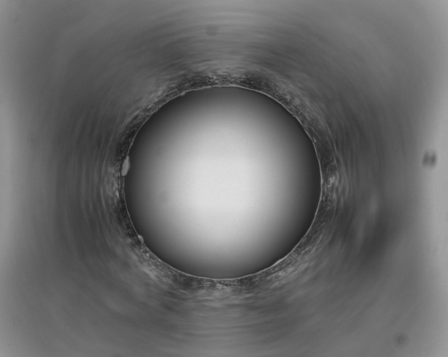 X0000097660772200803142131