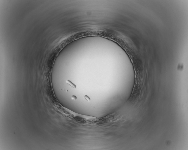 X0000097660773200803142131