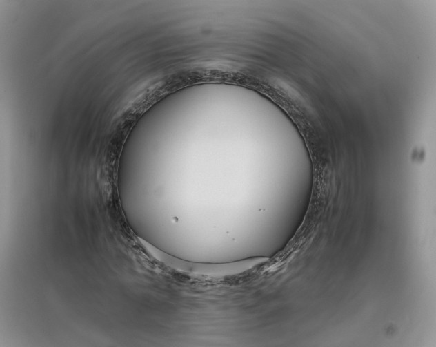 X0000097660774200803142131