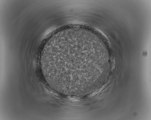 X0000097660775200803142131