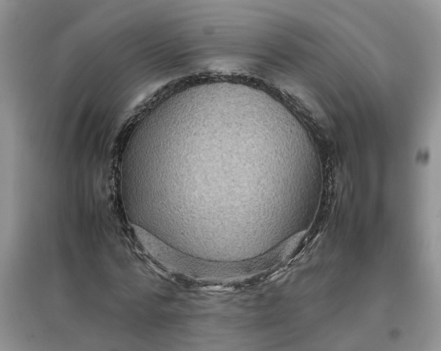X0000097660776200803142131