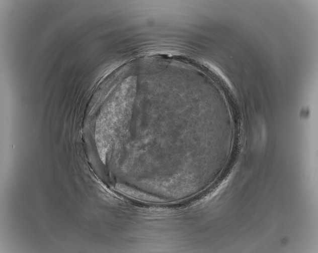 X0000097660777200803142131