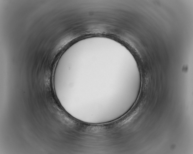 X0000097660778200803142131