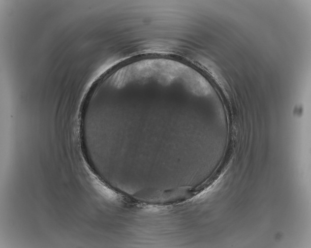 X0000097660779200803142131