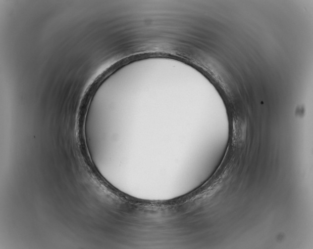 X0000097660780200803142131