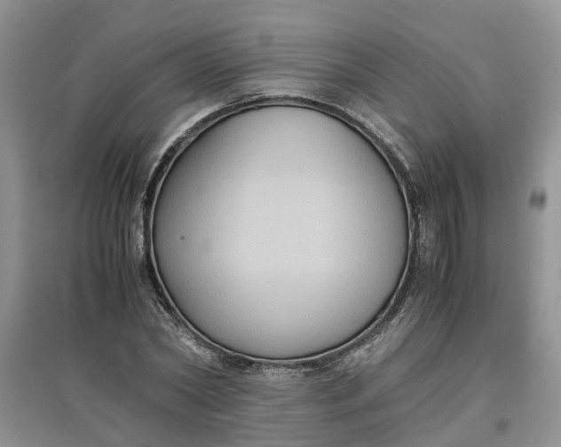 X0000097660782200803142131