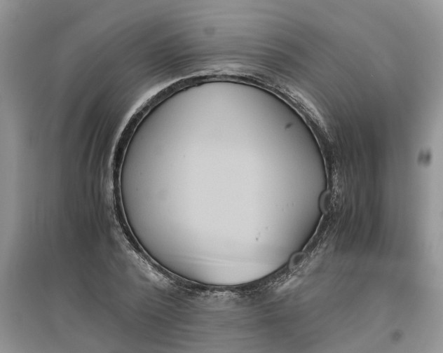 X0000097660784200803142131