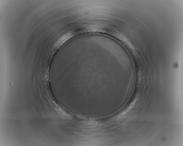 X0000097660785200803142131
