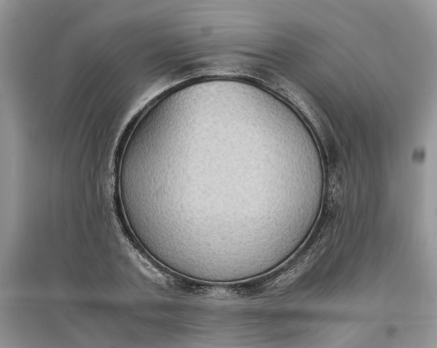 X0000097660787200803142131