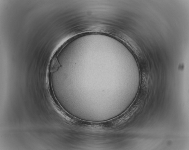 X0000097660788200803142131