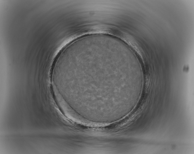 X0000097660789200803142131