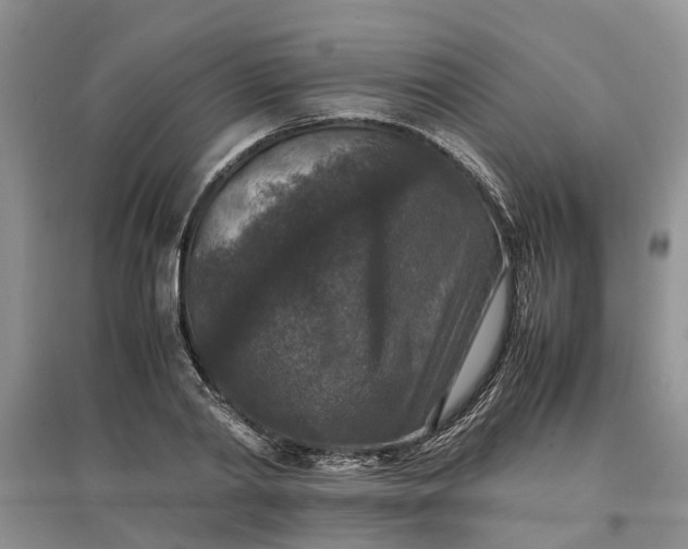X0000097660790200803142131