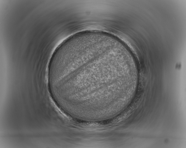 X0000097660791200803142131