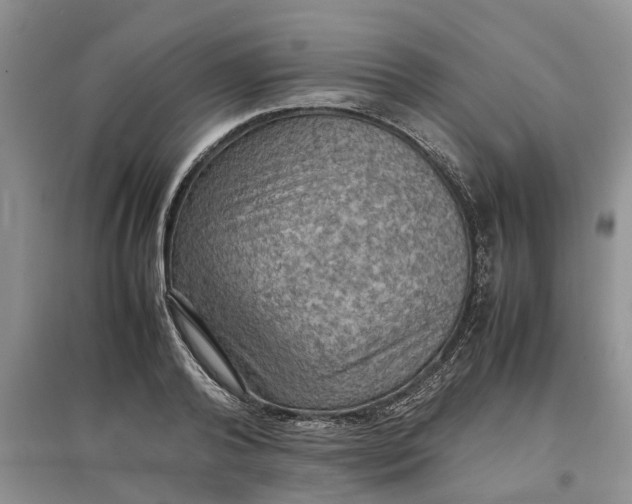 X0000097660792200803142131