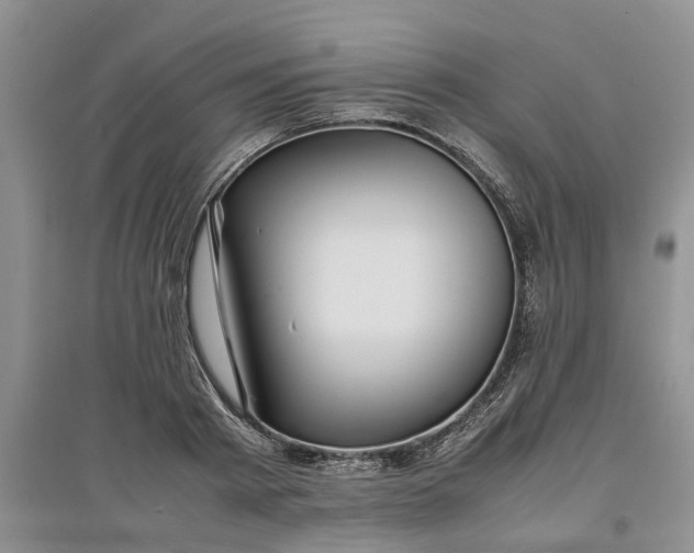 X0000097660793200803142131
