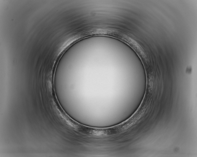 X0000097660794200803142131