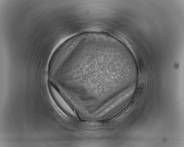 X0000097660795200803142131
