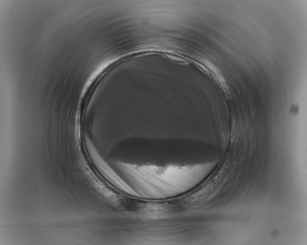 X0000097660796200803142131