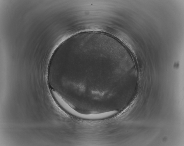 X0000097660797200803142131