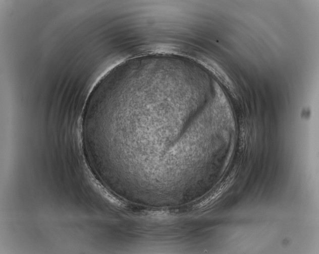 X0000097660798200803142131