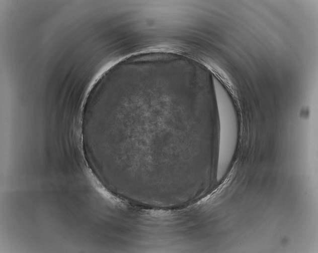 X0000097660800200803142131