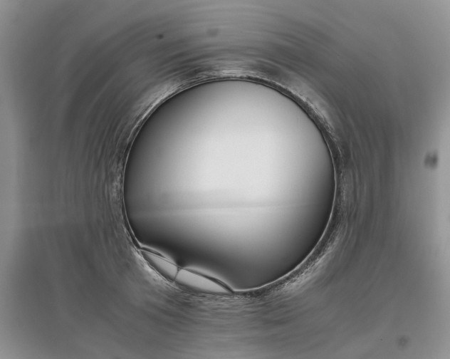 X0000097660801200803142131