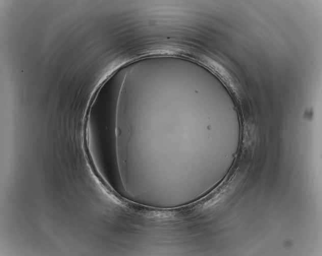 X0000097660802200803142131