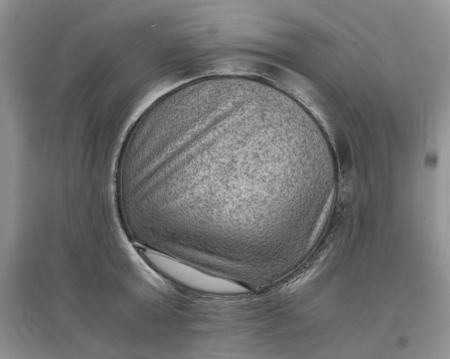 X0000097660803200803142131