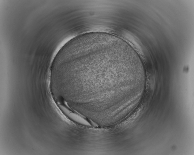 X0000097660804200803142131