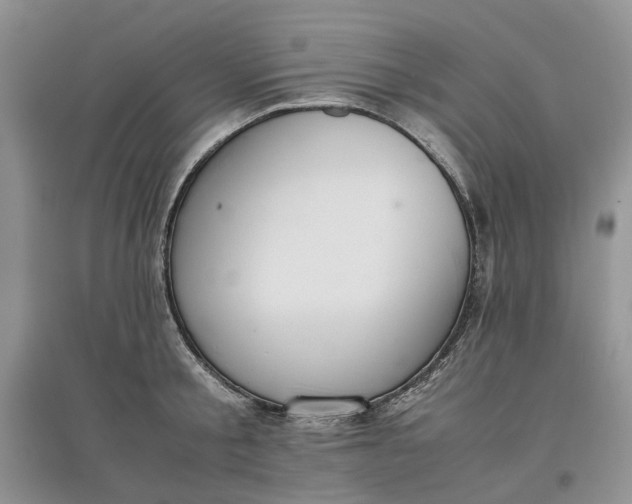 X0000097660805200803142131