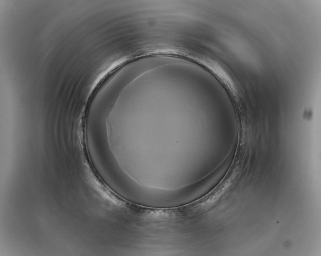 X0000097660806200803142131