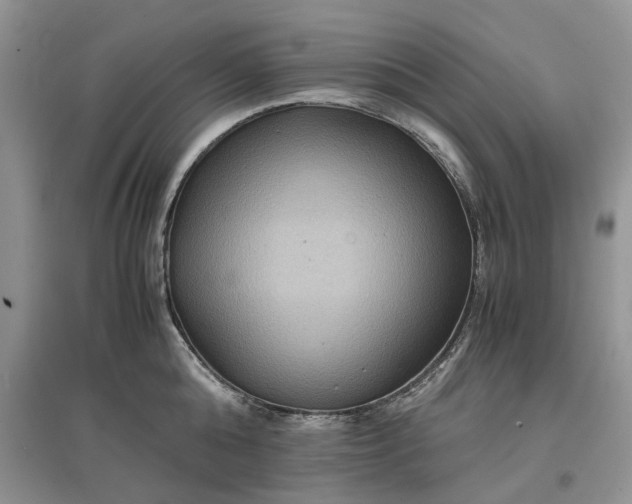 X0000097660808200803142131