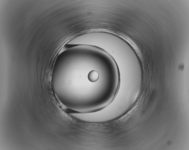 X0000097660809200803142131