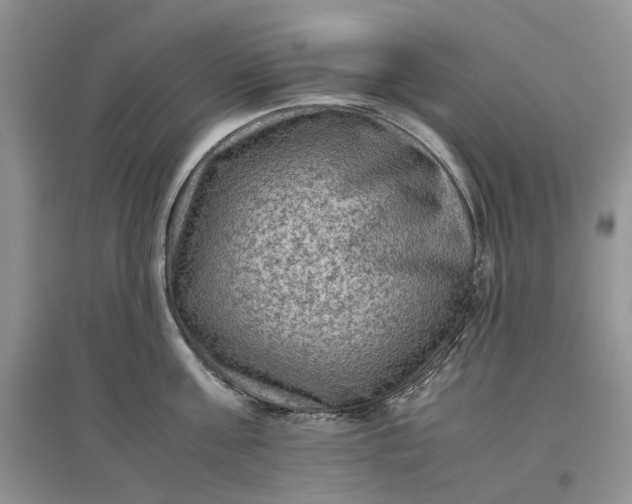 X0000097660811200803142131