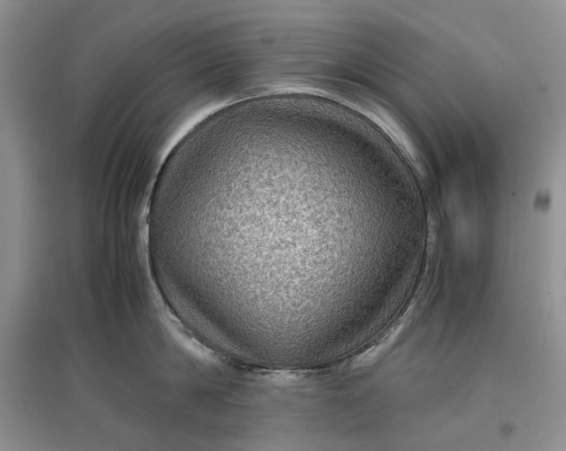 X0000097660814200803142131