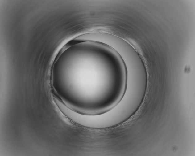 X0000097660816200803142131